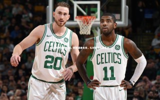 【28圈官网】泰山残阵再战河南，郑铮替身无忧，扎好篱笆成胜负手