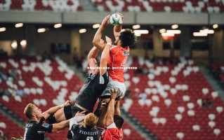 28圈网页版：数据揭示国安小胜东京，御林军传控战术再度称雄